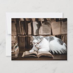 Cat Reading in Glasses Postcrossing Postcard