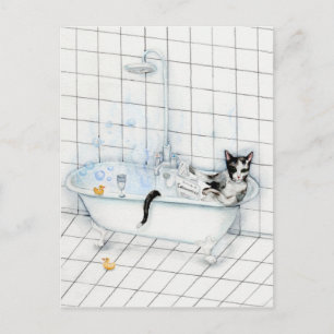 Cat reading newspaper in the bathtub postcard