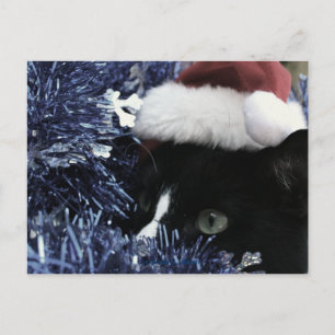 Cat ready to pounce behind blue tinsel, faded tint postcard