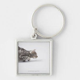 Cat ready to pounce key ring