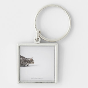 Cat ready to pounce key ring