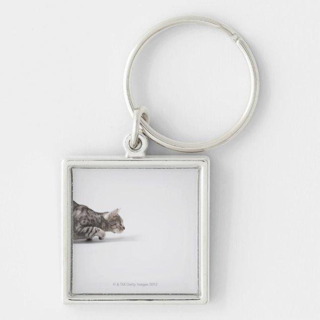 Cat ready to pounce key ring (Front)
