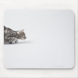 Cat ready to pounce mouse mat