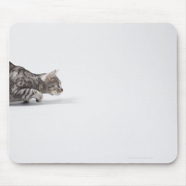 Cat ready to pounce mouse mat (Front)