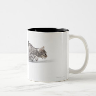 Cat ready to pounce Two-Tone coffee mug