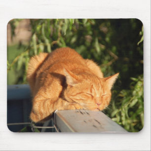 cat, red cat, pet mouse mat