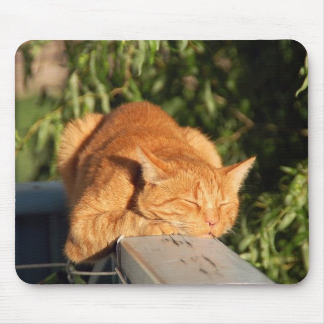 cat, red cat, pet mouse mat (Front)