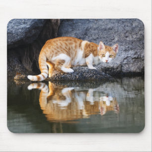 Cat Reflection in Pond Water Animal Photo, Mouse Mat