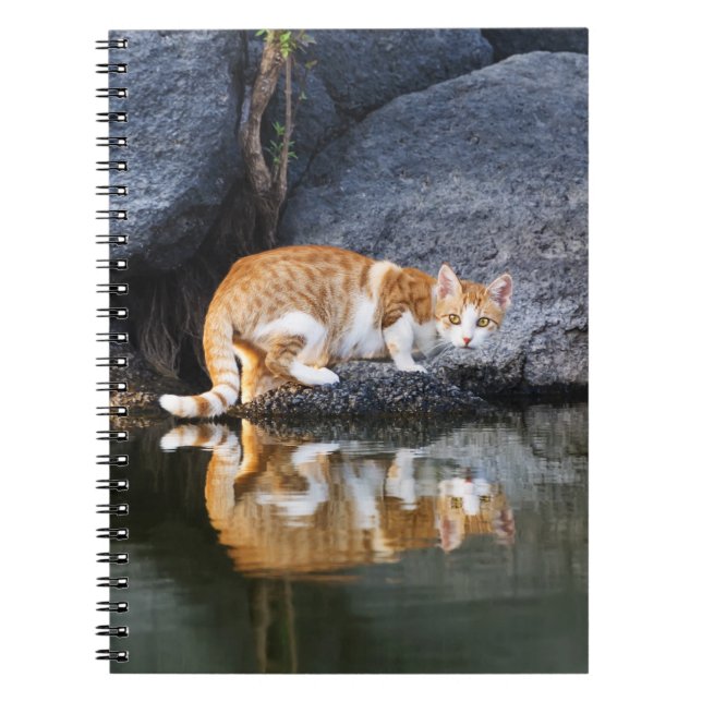 Cat Reflection in Pond Water Funny Photo - Notebook (Front)