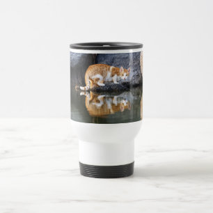 Cat Reflection Pond Water Photo  Thermo Cup