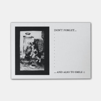 Cat Refreshing in Fountain Post-it Notes