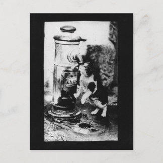 Cat Refreshing in Fountain Postcard