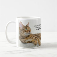 Cat RESCUE FUNDRAISER Coffee Mug Cup