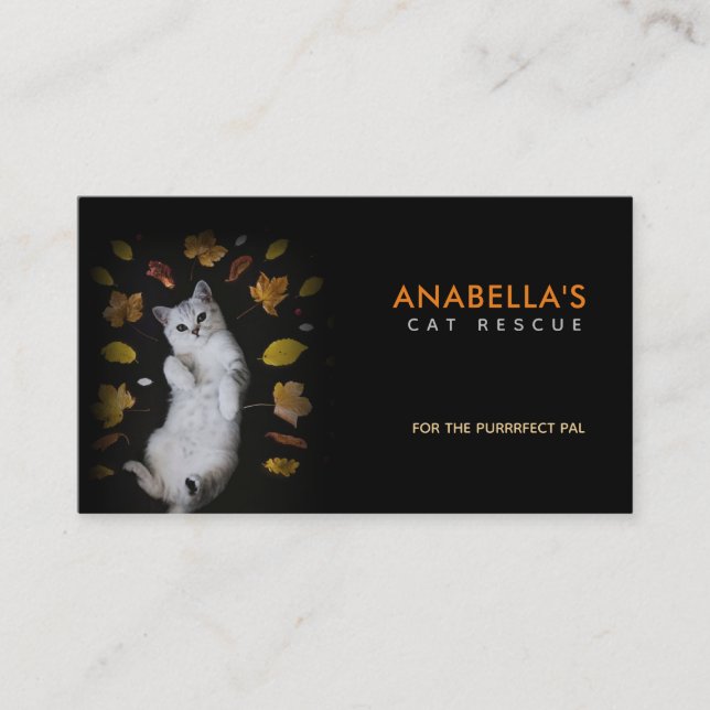 Cat Rescue Slogans Business Cards (Front)