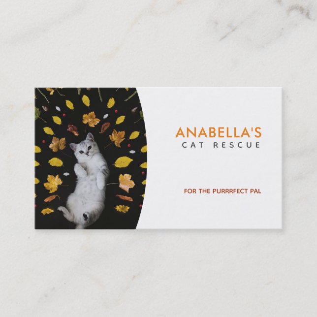 Cat Rescue Slogans Business Cards (Front)