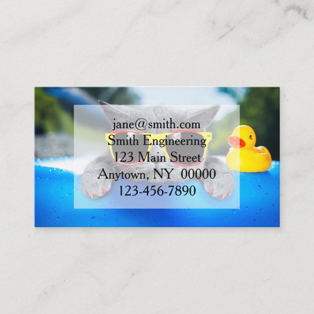 Cat rest in the pool on the air mattress business card (Front)
