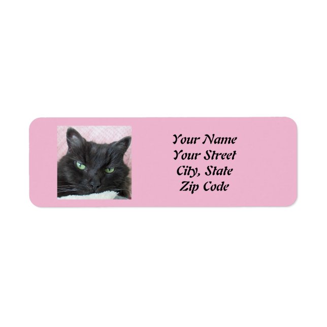 Cat Return Address Label (Front)