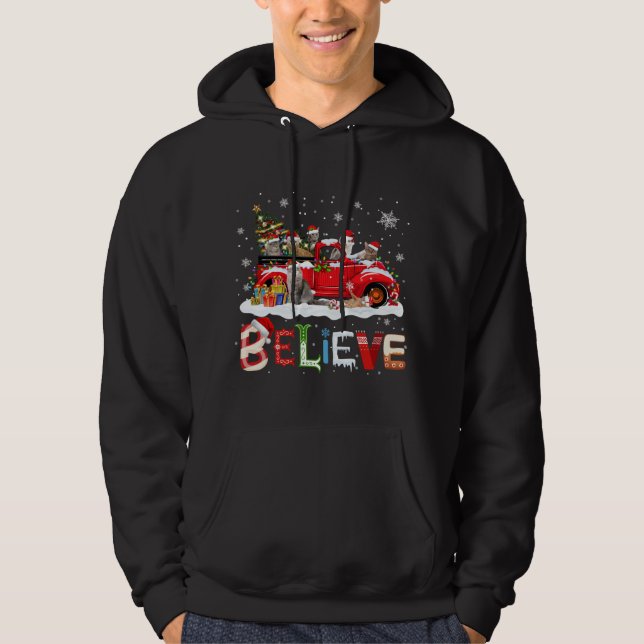 Cat Riding Red Truck Christmas Tree Believe Santa  Hoodie (Front)