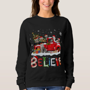 Cat Riding Red Truck Christmas Tree Believe Santa  Sweatshirt