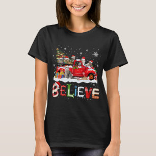 Cat Riding Red Truck Christmas Tree Believe Santa T-Shirt