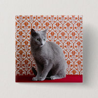 Cat (Russian blue) and wallpaper background