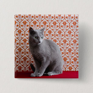 Cat (Russian blue) and wallpaper background 15 Cm Square Badge