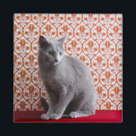 Cat (Russian blue) and wallpaper background Magnet<br><div class="desc">Animals->Cat</div>