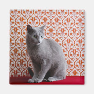 Cat (Russian blue) and wallpaper background Magnet