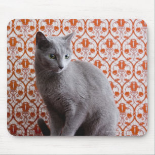 Cat (Russian blue) and wallpaper background Mouse Mat