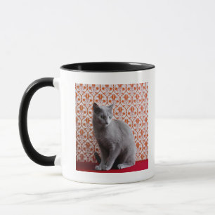 Cat (Russian blue) and wallpaper background Mug