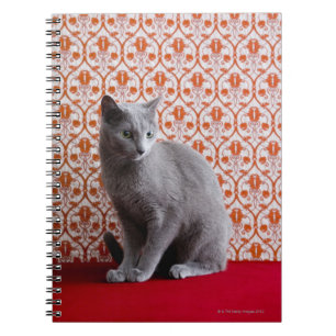 Cat (Russian blue) and wallpaper background Notebook