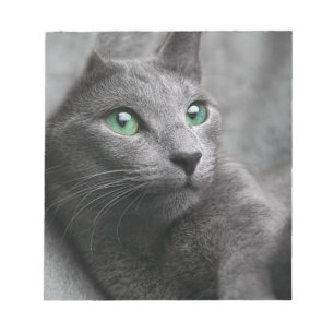 Cat Russian Blue Look Eyes Grey Pet Notepad