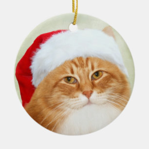 Cat Santa Claus Ceramic Tree Decoration