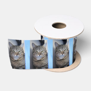 Cat Satin Ribbon