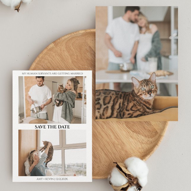 Cat Save the Date Humans Getting Married Wedding (Creator Uploaded)