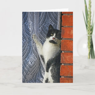 Cat Sayin' Hi Card