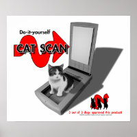 CAT SCAN