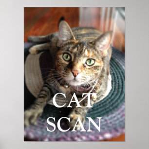 CAT SCAN POSTER