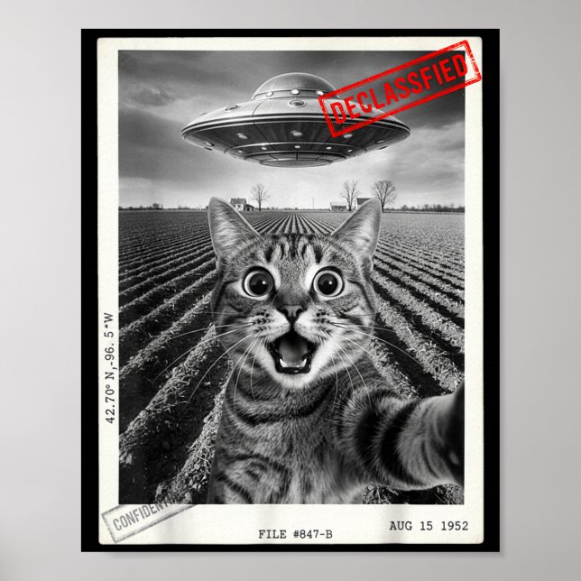 Cat Selfie Ufo Alien Funny Surprised Cat Meme Men  Poster (Front)