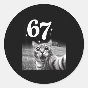 Cat Selfie With 67 Meme Funny Cats Graphic For Men Classic Round Sticker