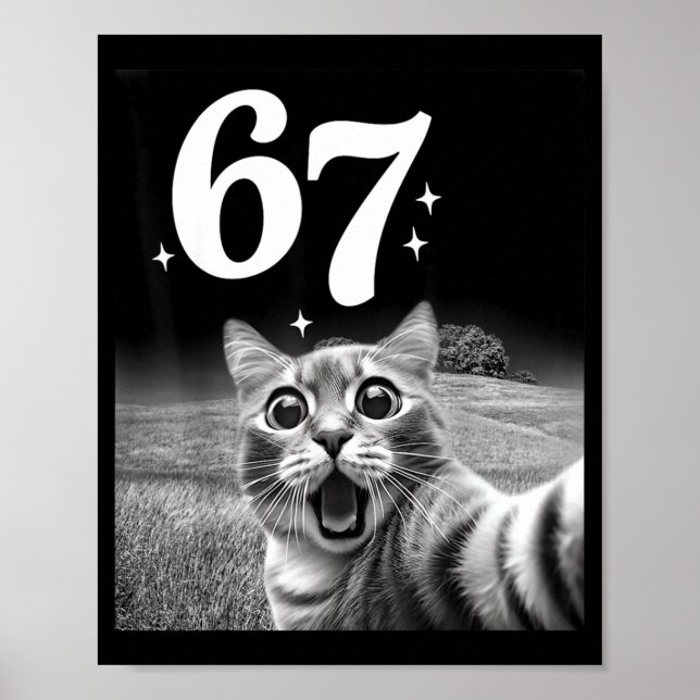 Cat Selfie With 67 Meme Funny Cats Graphic For Men Poster (Front)