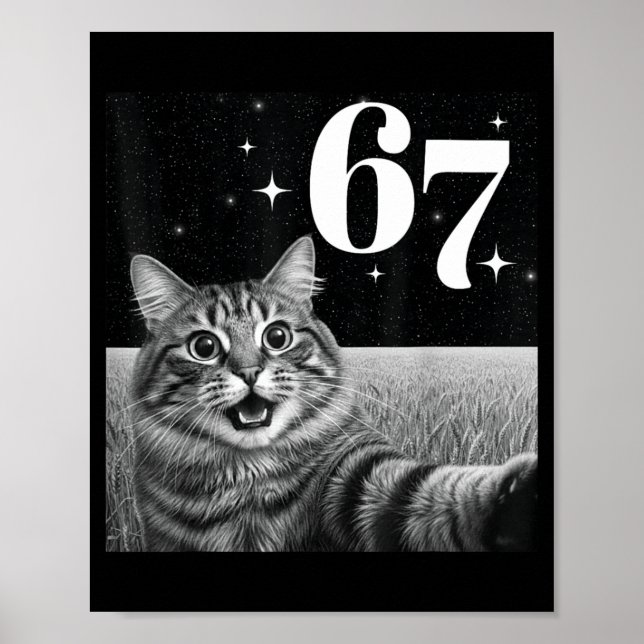 Cat Selfie With 67 Meme Funny Cats Graphic For Men Poster (Front)
