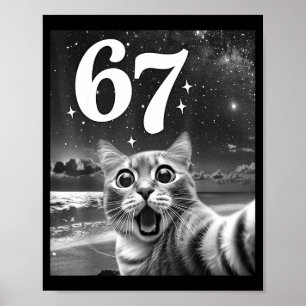 Cat Selfie With 67 Meme Funny Cats Graphic For Men Poster