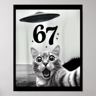 Cat Selfie With Alien Ufo And 67 Funny 6 7 For Men Poster