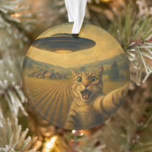 Cat Selfie With Alien UFO Funny Cat Gifts Ornament