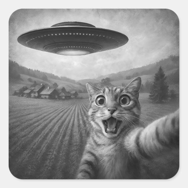 Cat Selfie With Alien UFO Funny Cat Gifts Square Sticker (Front)