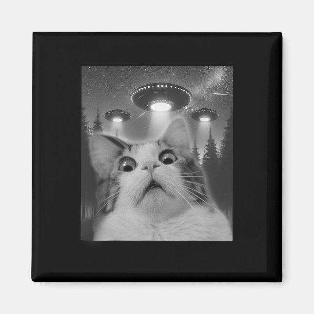 Cat Selfie With Ufos  Magnet (Front)