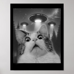 Cat Selfie With Ufos  Poster