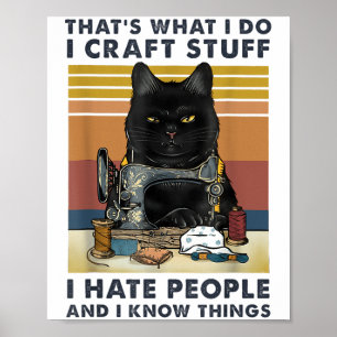 Cat Sewing That S What I Do I Craft Stuff I Hate P Poster