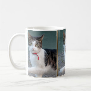 Cat Shake Hands CC0244 Coffee Mug